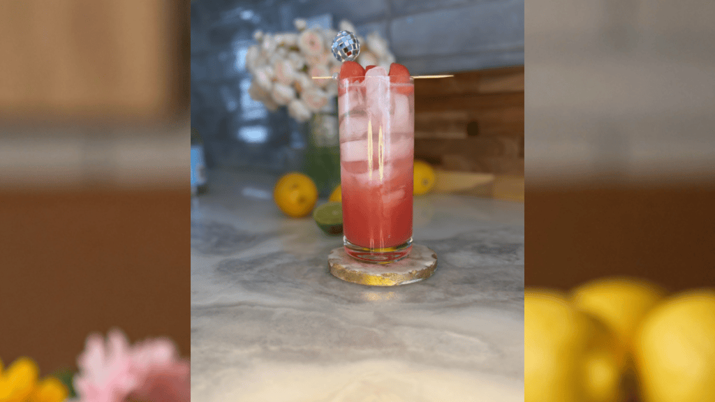 Watermelon Mint Cooler + Frozen Watermelon Dog Treats