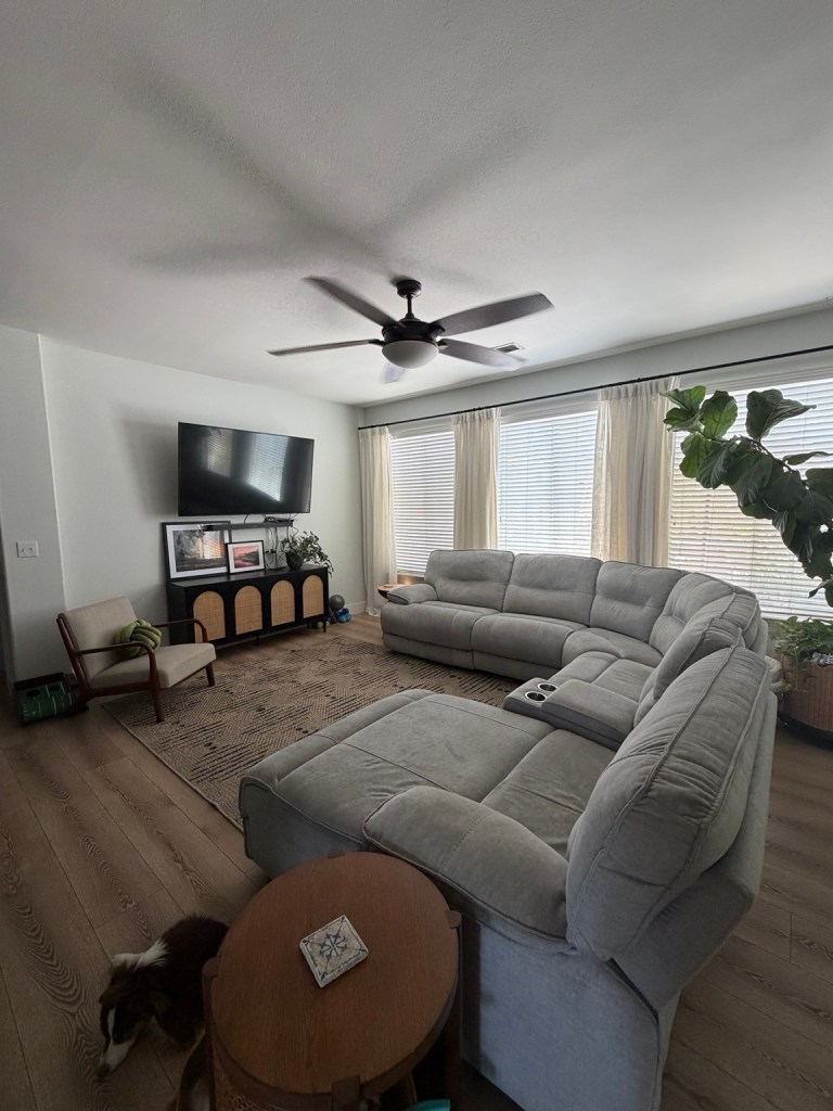 Modern organic living room with neutral furniture, media console, and Poppy napping.